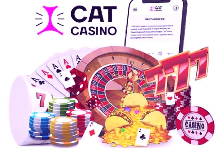 Cat Casino